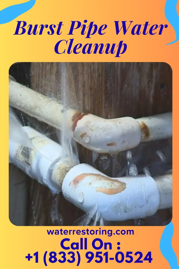 Burst Pipe Water Cleanup in Watervliet, NY