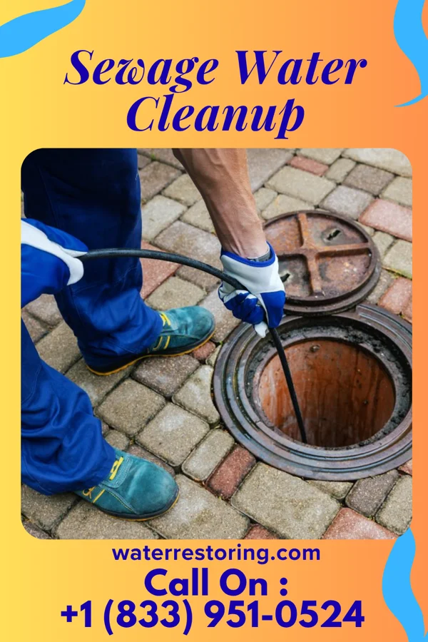 Sewage Water Cleanup in Watervliet, NY
