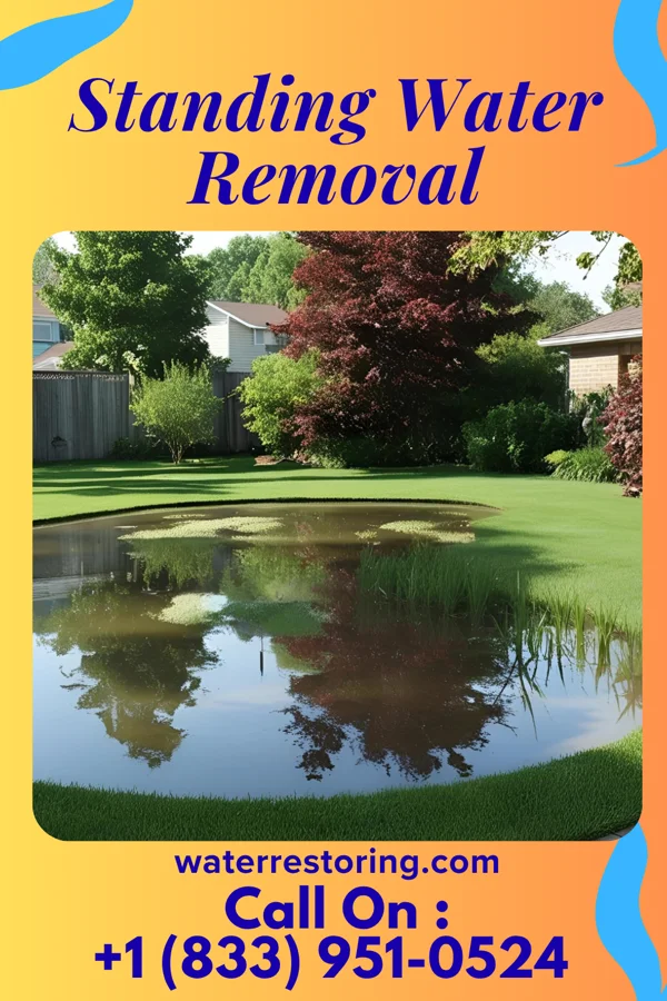 Standing Water Removal in Watervliet, NY